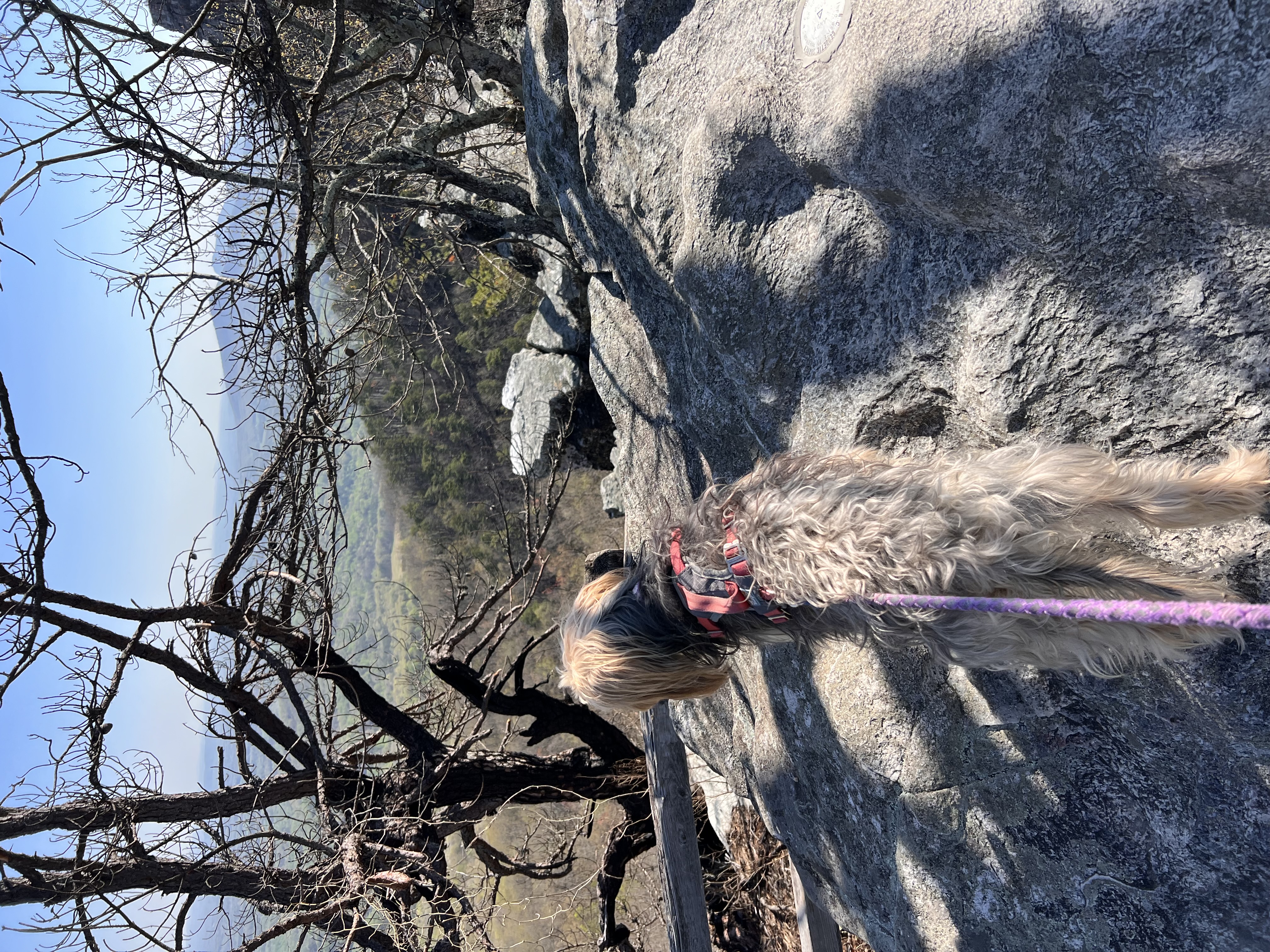 ./2023/05 - Toni Adventures/IMG_3015.JPG